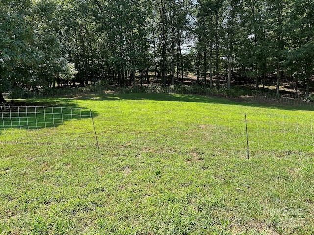 207 Wagon Ln, Rutherfordton, NC 28139 - view of yard