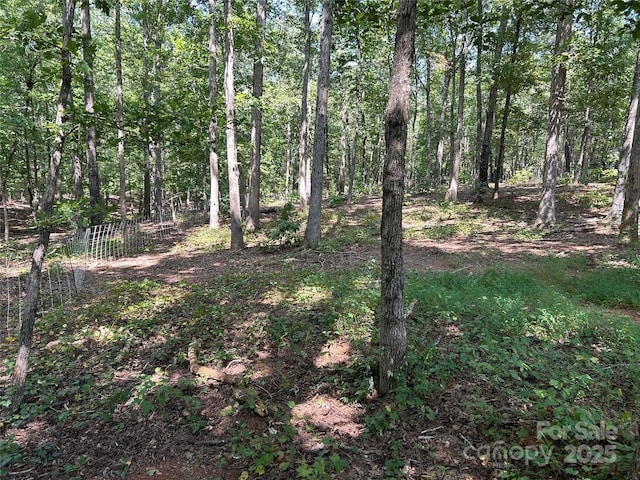 207 Wagon Ln, Rutherfordton, NC 28139 - view of wooded area