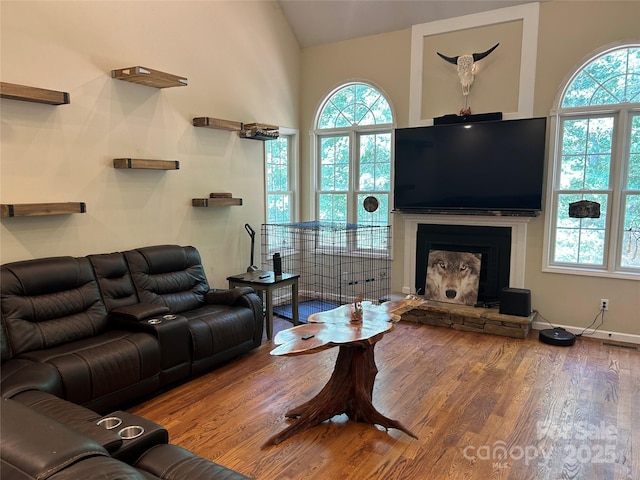 207 Wagon Ln, Rutherfordton, NC 28139 - living room with wood finished floors, a fireplace, plenty of natural light, and lofted ceiling
