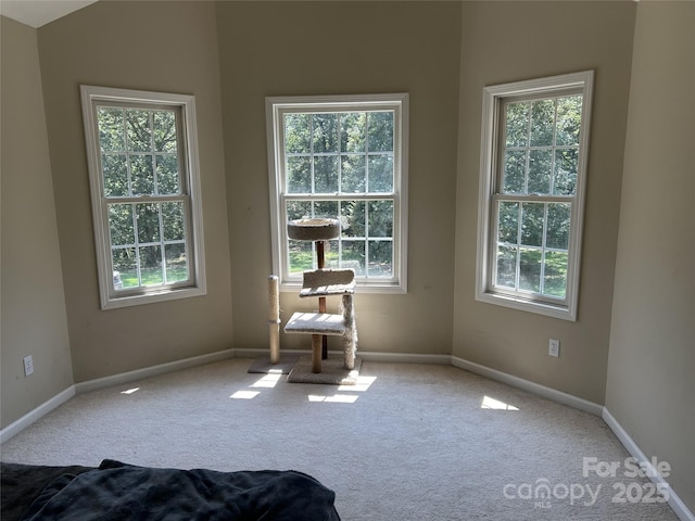 207 Wagon Ln, Rutherfordton, NC 28139 - carpeted empty room featuring plenty of natural light