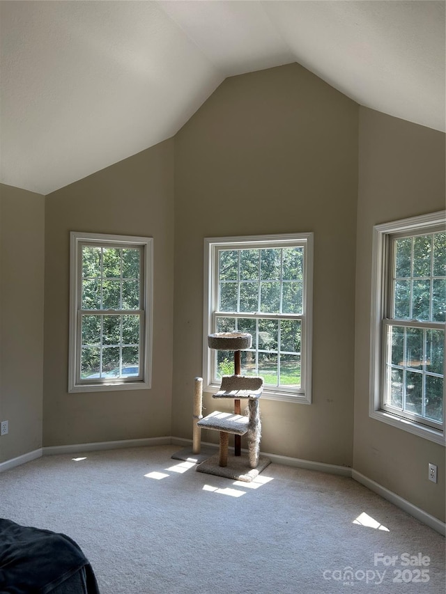 207 Wagon Ln, Rutherfordton, NC 28139 - sitting room with carpet, healthy amount of natural light, and high vaulted ceiling