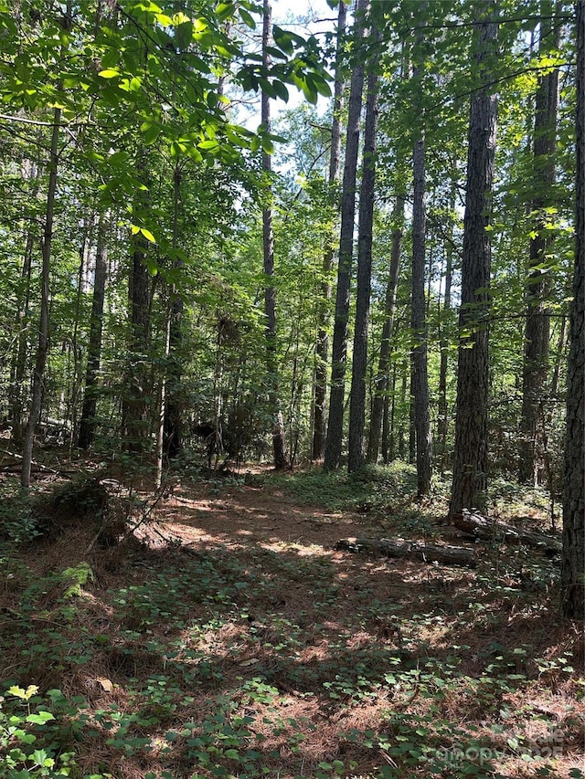 6020 Plantation Pointe Dr Unit 91, Granite Falls, NC 28630