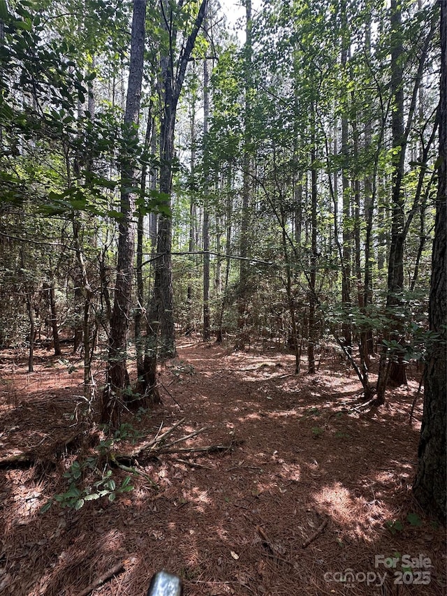 6020 Plantation Pointe Dr Unit 91, Granite Falls, NC 28630