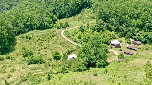 2087 Henry Rd, Sylva, NC 28779 - view of property location with a forest
