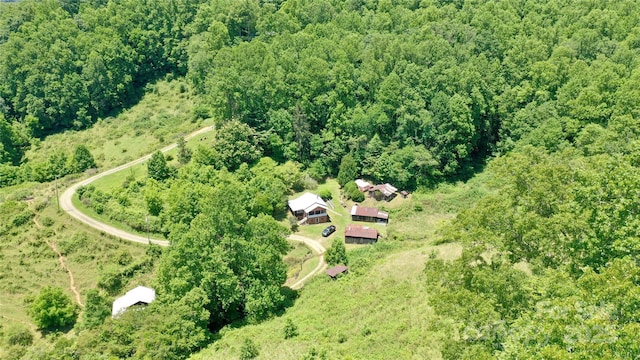2087 Henry Rd, Sylva, NC 28779 - view of property location with a forest