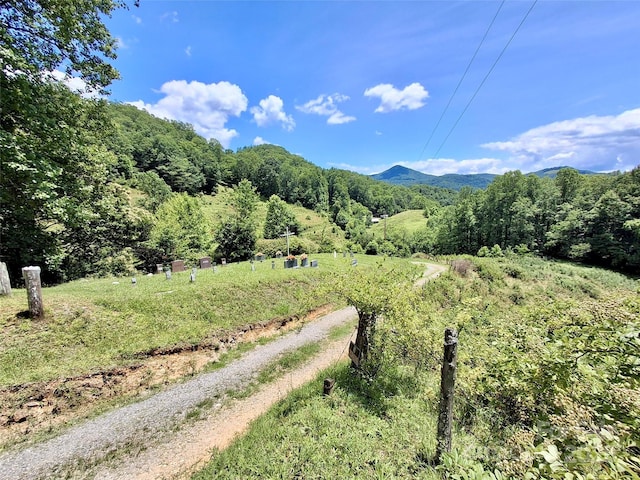 2087 Henry Rd, Sylva, NC 28779 - mountain view featuring a heavily wooded area
