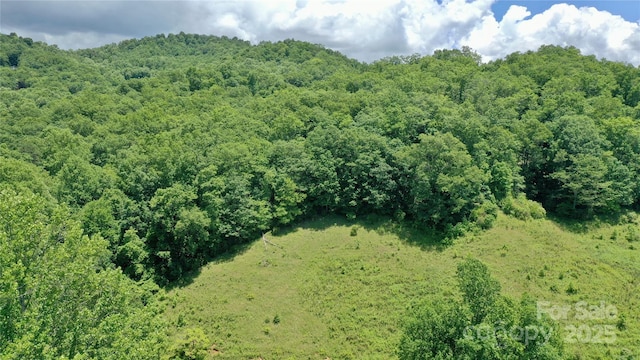 2087 Henry Rd, Sylva, NC 28779 - bird's eye view of a heavily wooded area