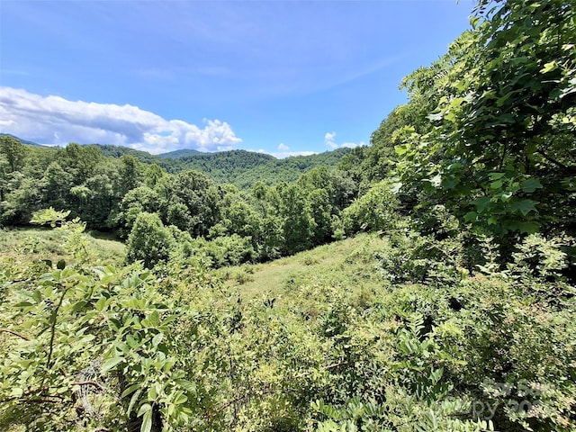2087 Henry Rd, Sylva, NC 28779 - view of mountain backdrop featuring a forest