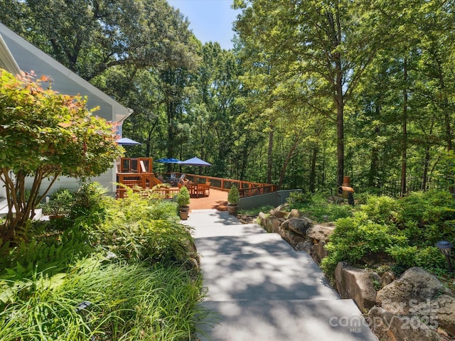 1711 Apple Tree Ln Unit 28, Fort Mill, SC 29715 - surrounding community featuring a deck