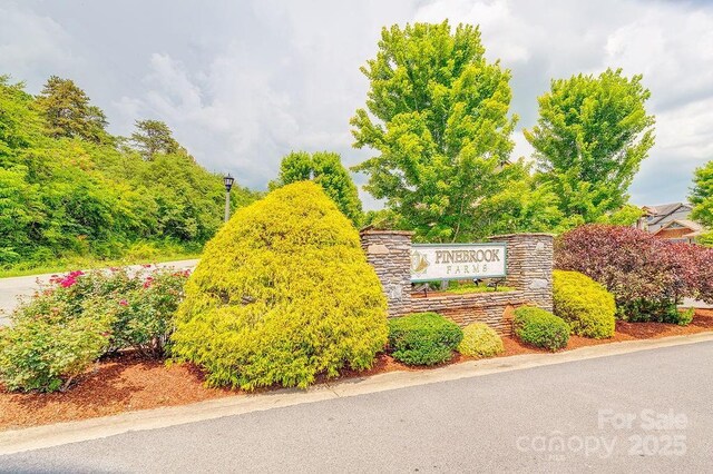 64 Creekside View Dr, Asheville, NC 28804 - photo 34