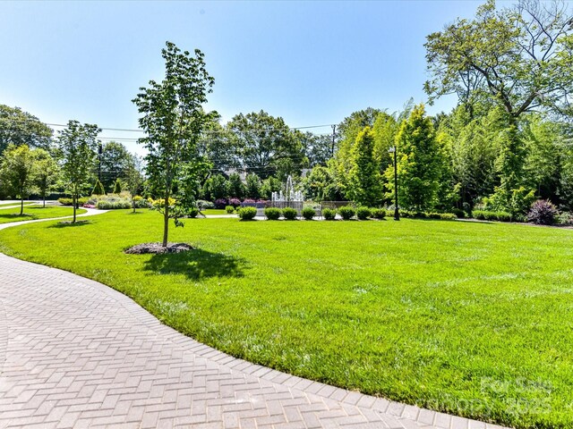 6531 Hazelton Dr, Charlotte, NC 28210 - photo 38