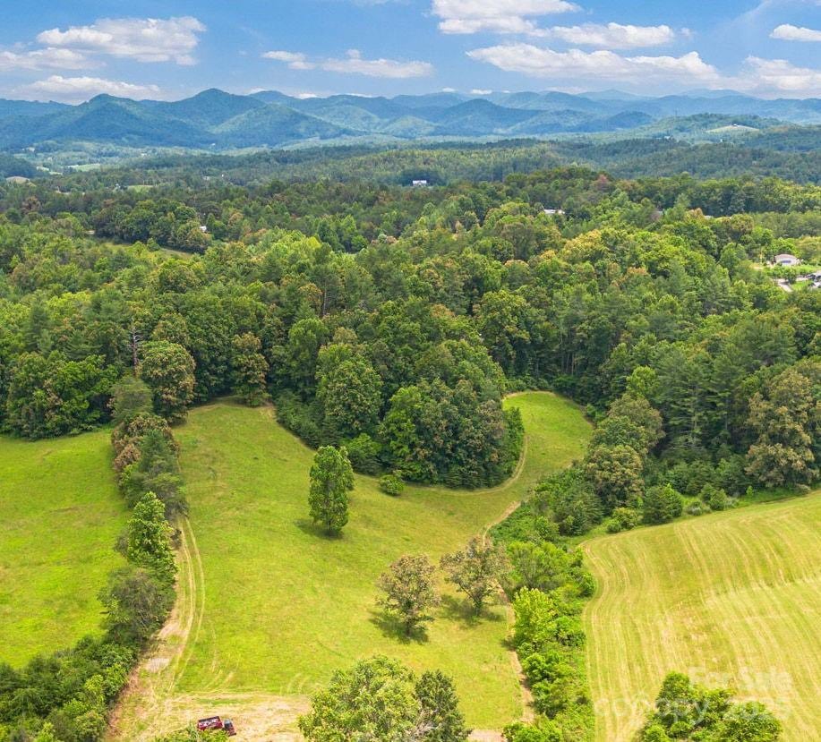 124 Palmer Ford Rd, Weaverville, NC 28787