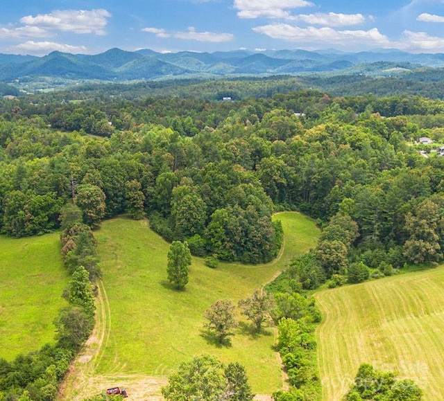 124 Palmer Ford Rd, Weaverville, NC 28787