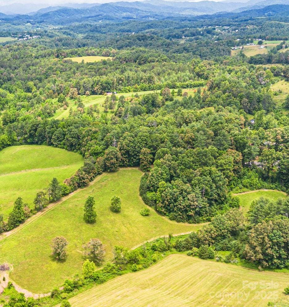 124 Palmer Ford Rd, Weaverville, NC 28787