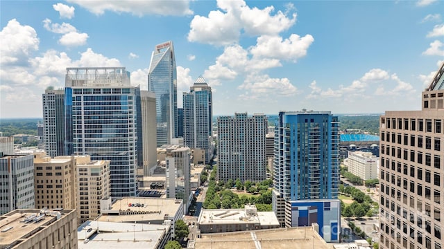 229 N Church St Unit 100, Charlotte, NC 28202 - photo 47