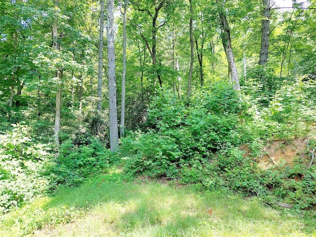 93 Badger Run, Hendersonville, NC 28739 - photo 26