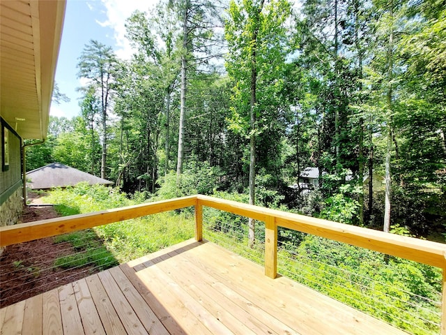 93 Badger Run, Hendersonville, NC 28739 - photo 27