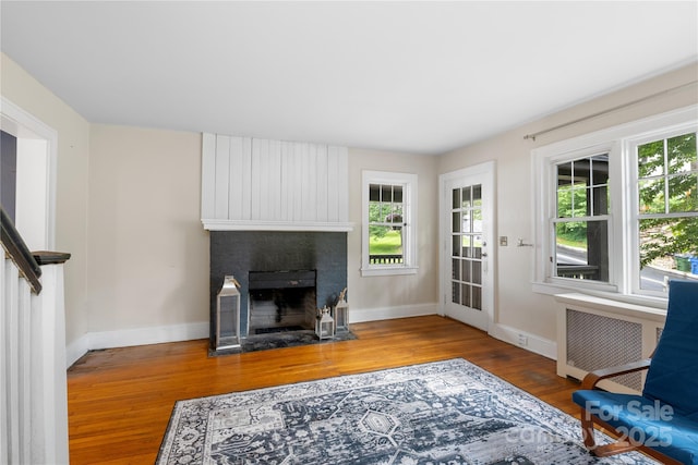 30 Caledonia Rd, Asheville, NC 28803 - living room with radiator, wood finished floors, plenty of natural light, and a fireplace