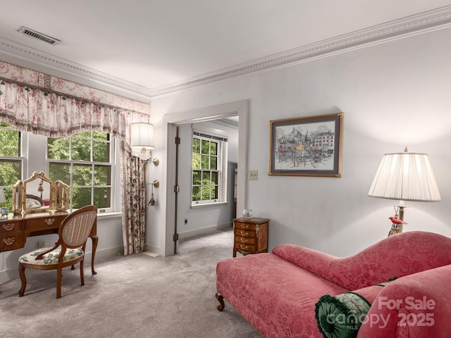 185 Macon Ave Unit B10, Asheville, NC 28804 - photo 26