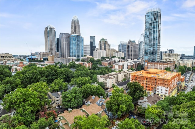 425 W 8th St, Charlotte, NC 28202 - photo 22