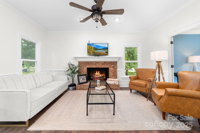 5408 Apple Glen Dr, Harrisburg, NC 28075 - living area featuring ornamental molding, a fireplace, ceiling fan, and wood finished floors