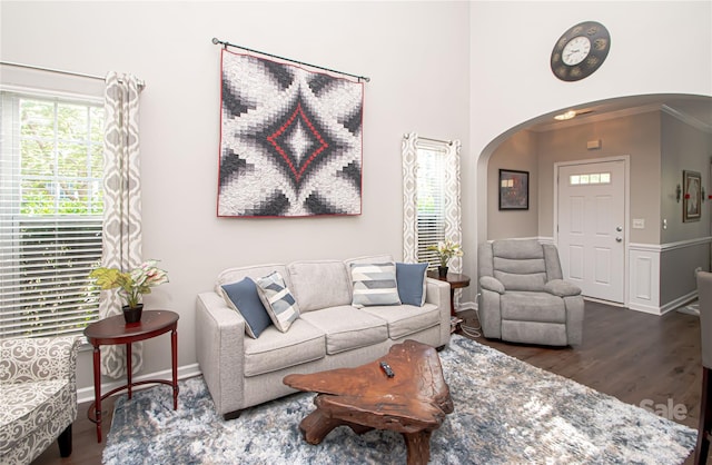 1304 Hammond Dr, Matthews, NC 28104 - living room with arched walkways, wood finished floors, and crown molding