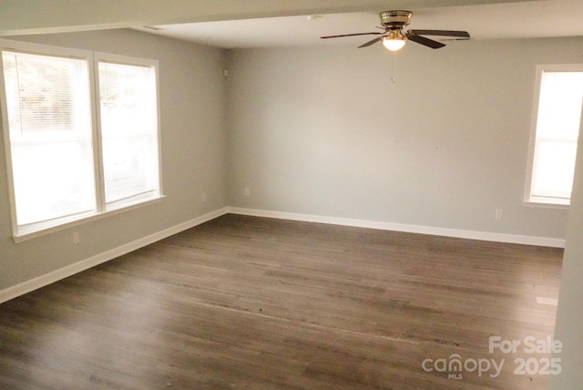 7619 Monarch Birch Ln, Charlotte, NC 28215 - photo 4