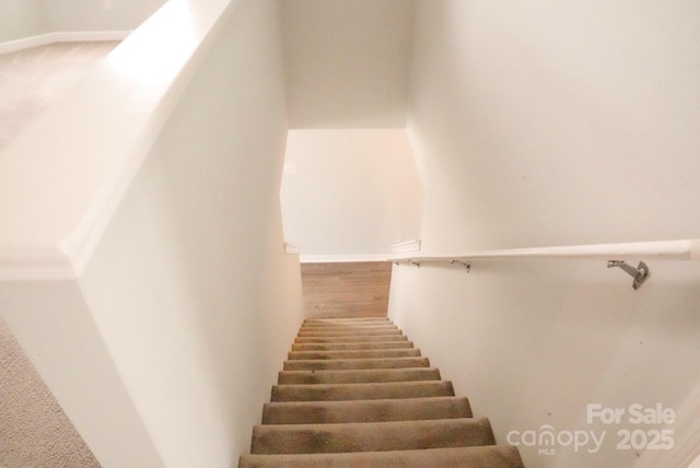 7619 Monarch Birch Ln, Charlotte, NC 28215 - photo 10