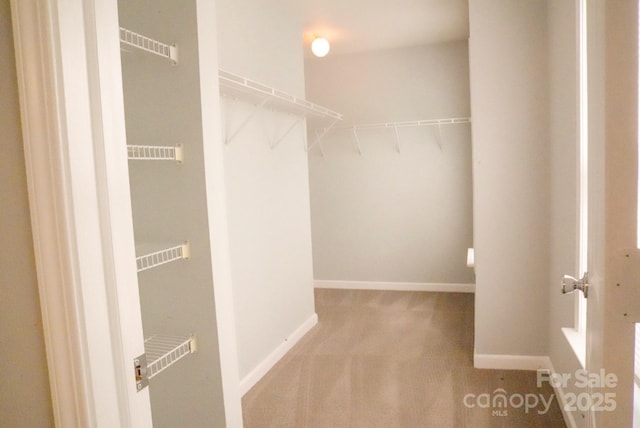 7619 Monarch Birch Ln, Charlotte, NC 28215 - photo 15