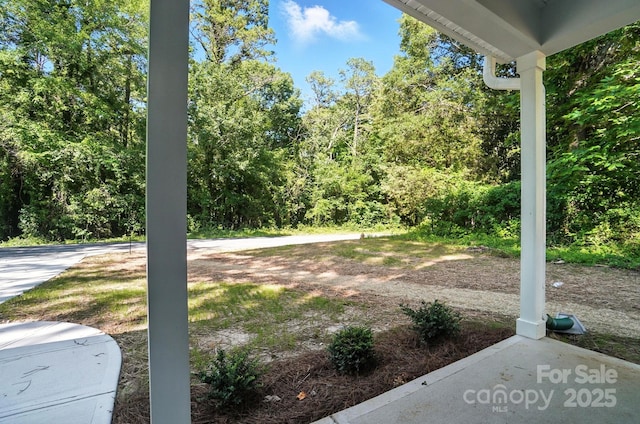 411 Patience Dr, Concord, NC 28025 - view of yard
