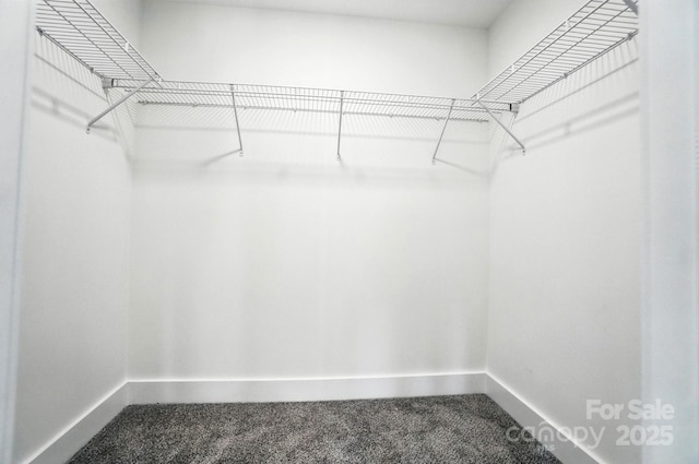 411 Patience Dr, Concord, NC 28025 - walk in closet featuring dark colored carpet