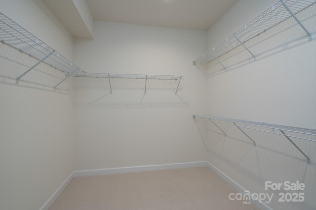 2407 Baxter Pl SE, Concord, NC 28025 - walk in closet featuring carpet floors