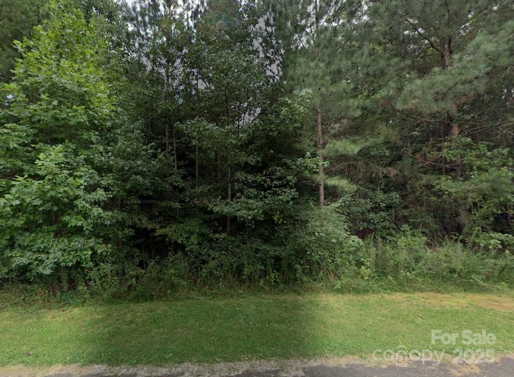 0024 Majestic Pine Dr Unit 24, Vale, NC 28168