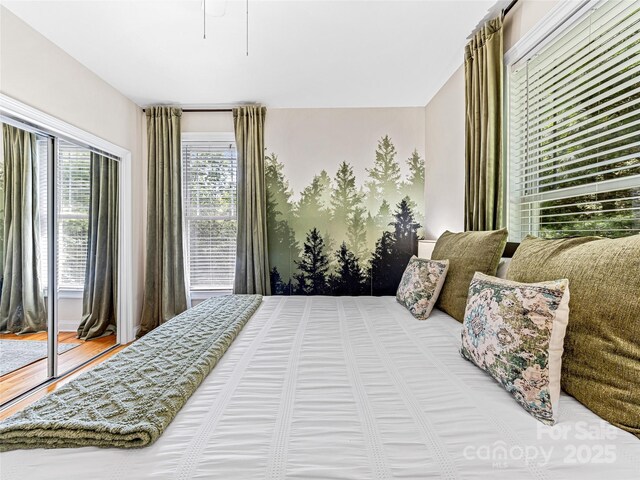 37 Gaston Mountain Rd, Asheville, NC 28806 - photo 24