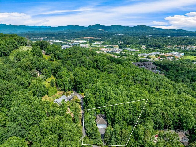 37 Gaston Mountain Rd, Asheville, NC 28806 - photo 47