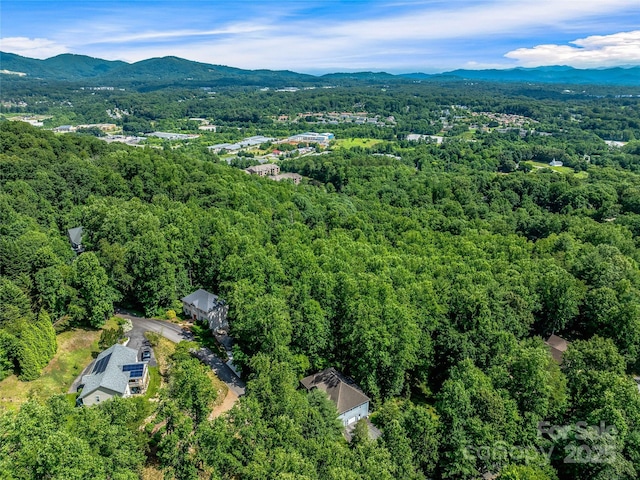 37 Gaston Mountain Rd, Asheville, NC 28806 - photo 6