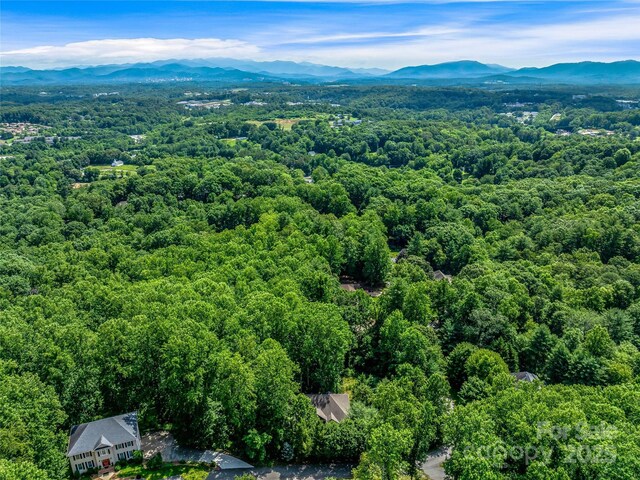 37 Gaston Mountain Rd, Asheville, NC 28806 - photo 48