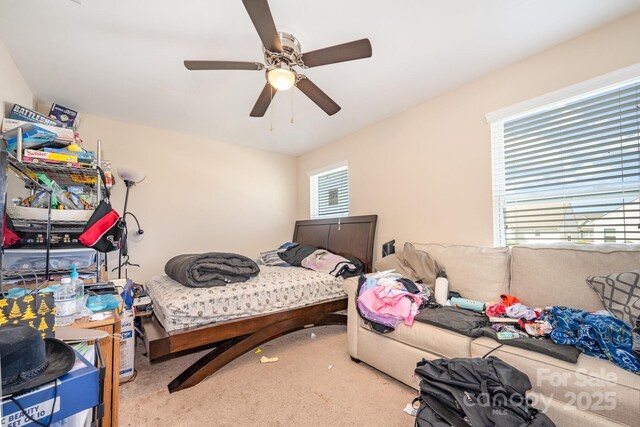 834 Von Buren Blvd, Rock Hill, SC 29730 - photo 19