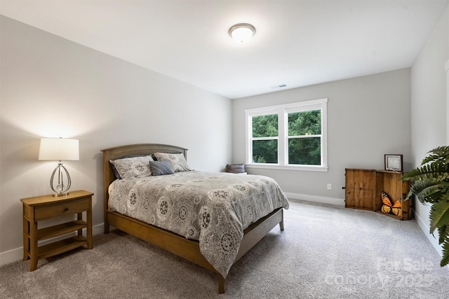 13012 Brooklyn Skylar Way, Huntersville, NC 28078 - photo 32