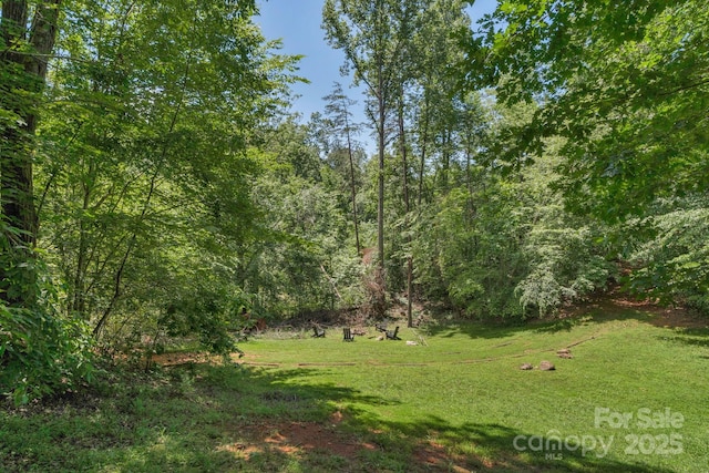 566 Nathan Mcdaniel Dr, Nebo, NC 28761 - photo 14