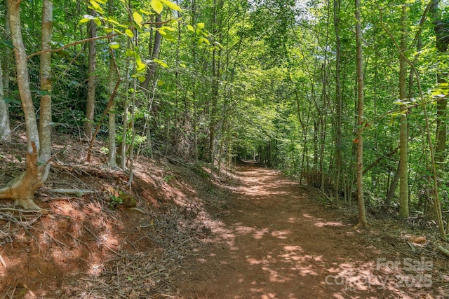 566 Nathan Mcdaniel Dr, Nebo, NC 28761 - photo 15