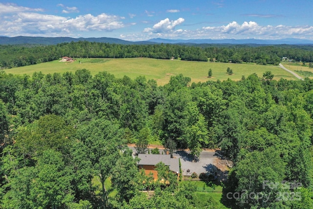 566 Nathan Mcdaniel Dr, Nebo, NC 28761 - photo 16