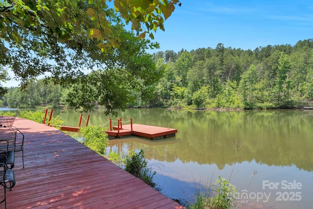 566 Nathan Mcdaniel Dr, Nebo, NC 28761 - photo 47