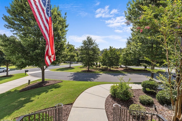 16522 Flintrock Falls Ln, Charlotte, NC 28278 - view of community with a yard