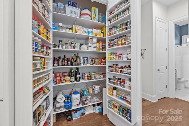 16522 Flintrock Falls Ln, Charlotte, NC 28278 - view of pantry