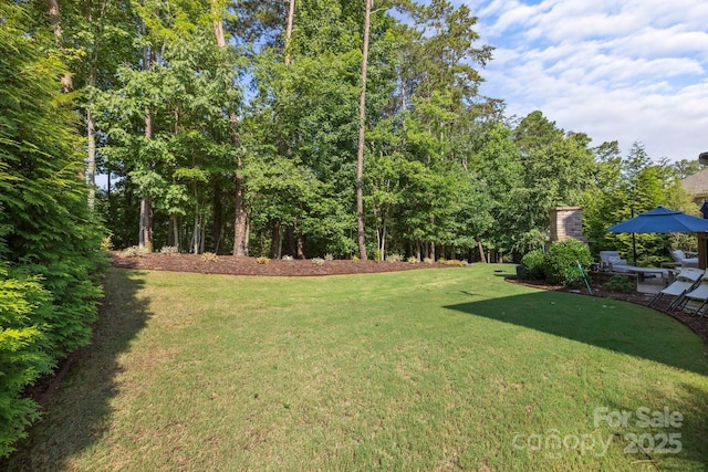 16522 Flintrock Falls Ln, Charlotte, NC 28278 - view of green lawn