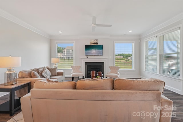 507 Yucatan Dr Unit 71, Waxhaw, NC 28173 - living area featuring dark wood finished floors, ornamental molding, a glass covered fireplace, ceiling fan, and recessed lighting