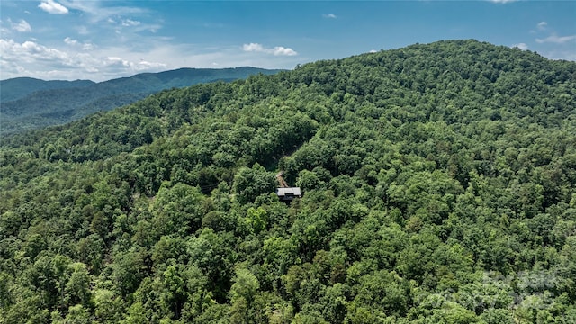 126 N Ridge Dr, Marion, NC 28752 - photo 6