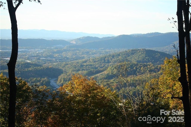 21 Casta Way, Asheville, NC 28803 - photo 1