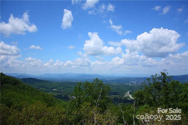 21 Casta Way, Asheville, NC 28803 - photo 4